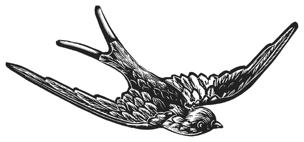 bird carrying letter