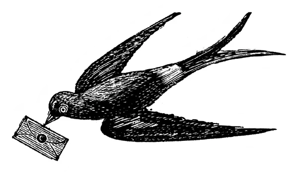 bird carrying letter